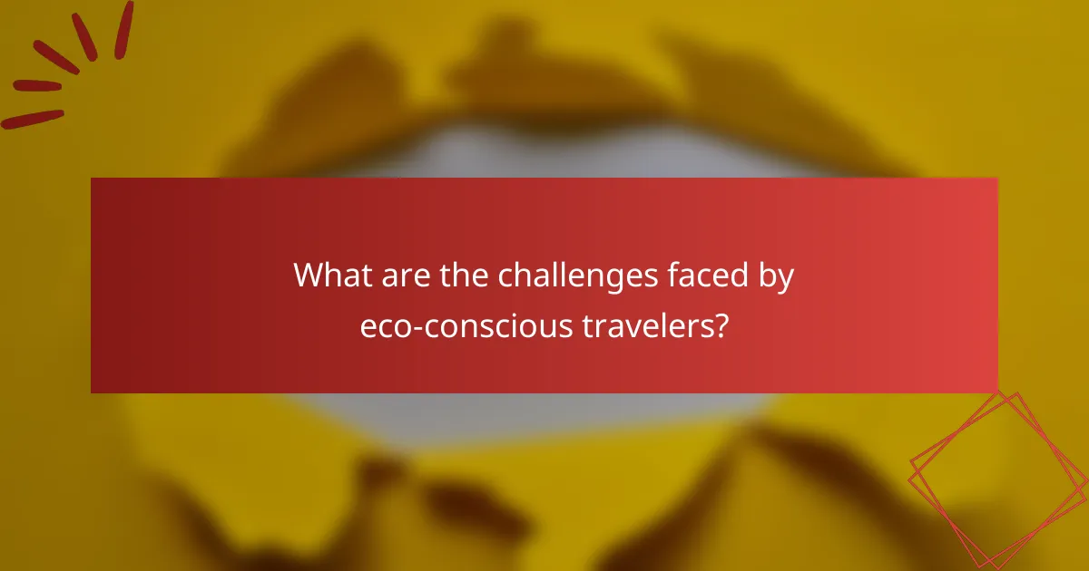 What are the challenges faced by eco-conscious travelers?