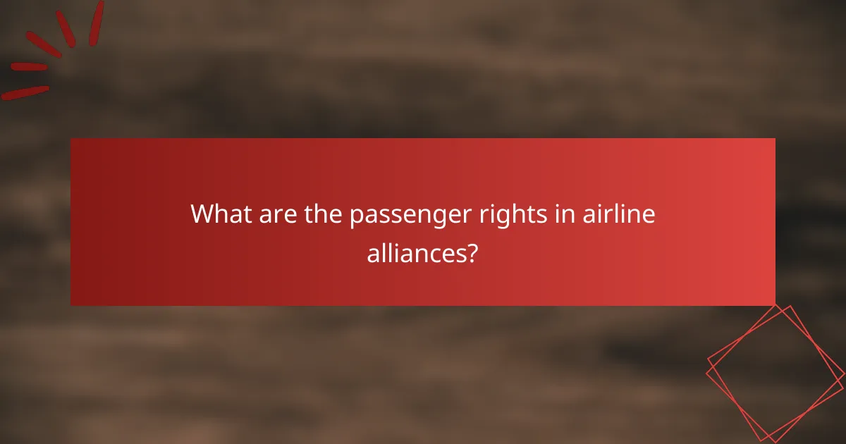 What are the passenger rights in airline alliances?