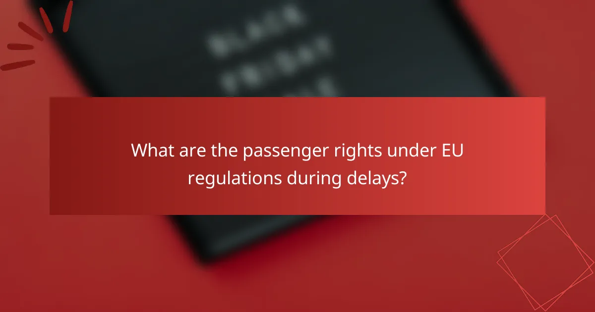 What are the passenger rights under EU regulations during delays?