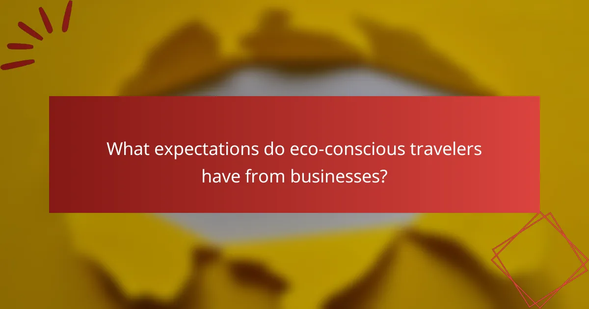What expectations do eco-conscious travelers have from businesses?